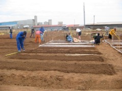 South Africa, Planting Garden